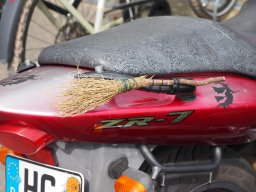 Hahn Auf_Anlassen_2024-P4280014